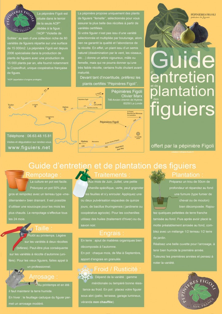 Guide entretien figuier